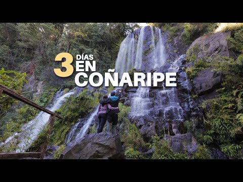 A PERFECT GUIDE for your days in COÑARIPE and its surroundings.