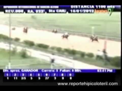 Resumen Lunes 16 de Enero de 2012 - Rancho Alegre