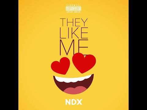 NDX - THEY LIKE ME (audio)