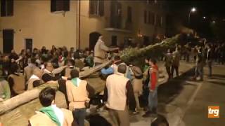 Festa del Maggio (2019) TRG