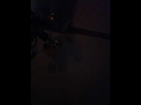 Virginia singt hirbod ich Brauch dich nicht