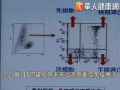 幼兒流感重症　長庚研究免疫療法露曙光