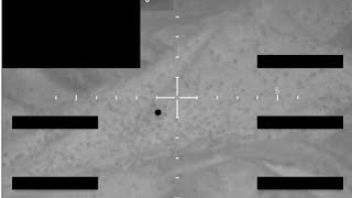 Pentagon Begins Releasing Wave of Files on UFOs
