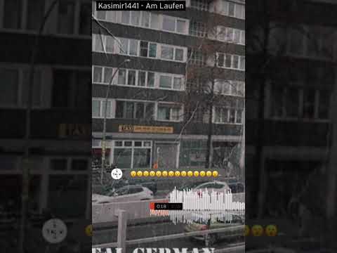 Kasimir 1441/Shor Am Laufen