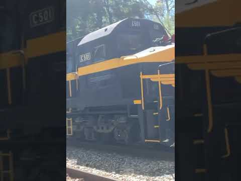 Rare VR livery X31 and C501 on 7 loco 7AM9 through the hills! #shorts