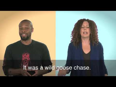 1分でわかる英語雁の追跡 (English in a Minute: Wild Goose Chase)