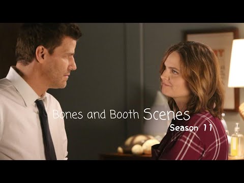 Bones & Booth scenes (season 11) [1080p]