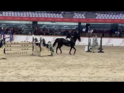D'Artagnan RR 6th @ 1.35m CSI Opglabbeek 2019