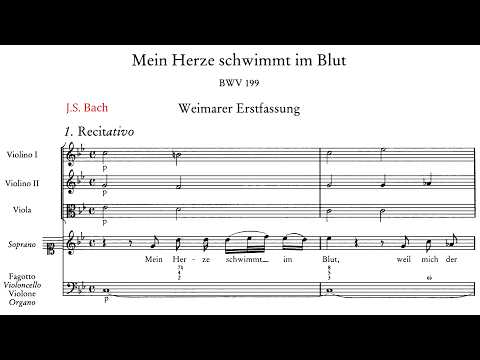 Bohemian Baroque