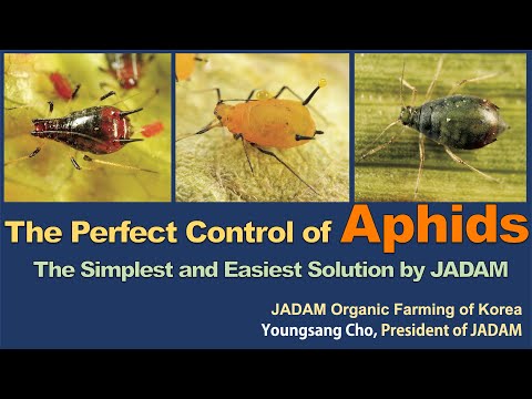 , title : 'The Perfect Control of Aphids, The Simplest and Easiest Solution by JADAM'