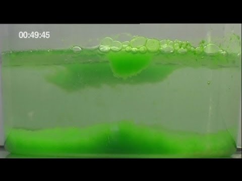 euronews science - Электричество из водорослей