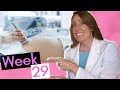 29 Weeks In Months What To Expect At Week 29