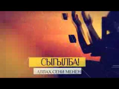 Акыл нассат 2019