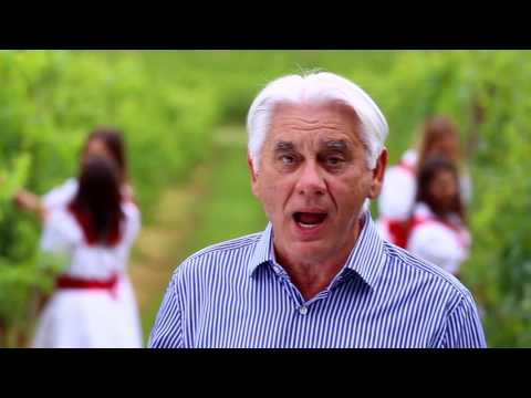 Joso Butorac - Ružica (OFFICIAL VIDEO)