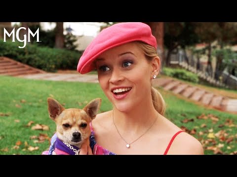Legally Blonde (2001) |  Elle Introduces Herself (Scene) | MGM Studios