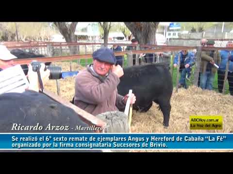 Ricardo Arzoz - Se realizó el 6º sexto remate de ejemplares Angus y Hereford de Cabaña “La Fé”