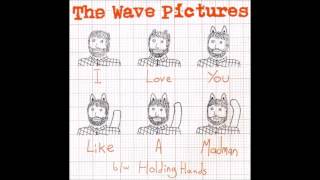 The Wave Pictures - I Love You Like A Madman