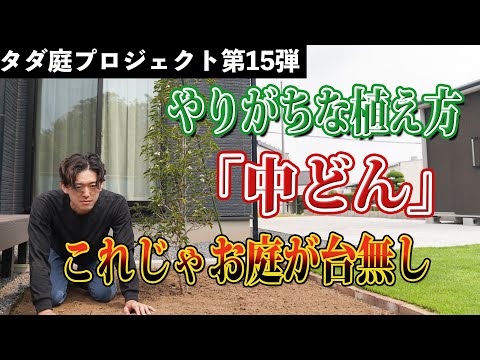 jardin-d'hiver-style-minimaliste-coin-repas