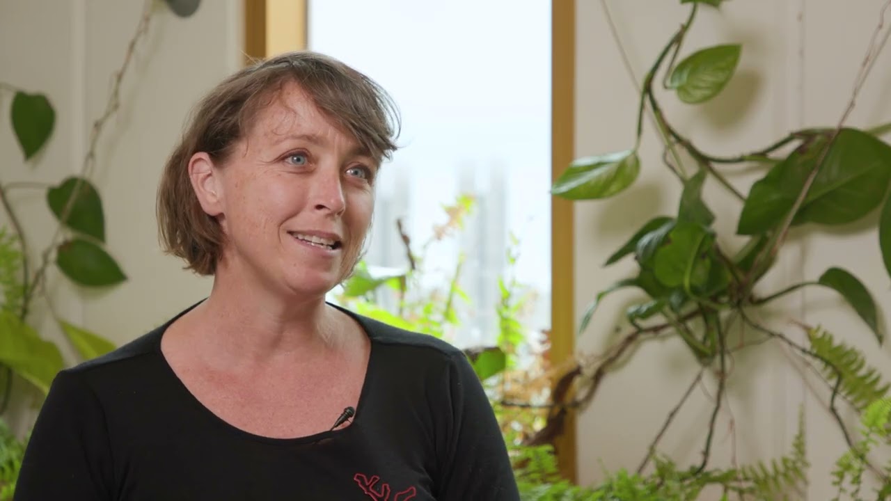 Text And Media Video