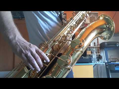 Macskafogó - Lusta Dick