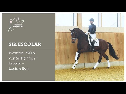 Sir Escolar 16 02 2022 Trainingseindrücke