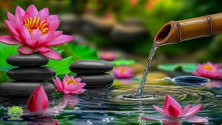 Beautiful Bamboo Water & Piano Sounds 🌿 Spa Healing Music for Sleep, Meditation and Calm Mind