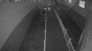 DogMode: Aquatic Center- Dock View