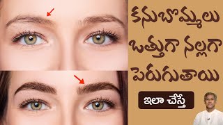 Oil to Grow Thicker Eyebrows Faster | Get Thick Eyebrows Naturally | Dr. Manthena