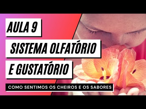 Video lesson 9 Olfactory and gustatory system - HOW DO WE FEEL SMELLS AND FLAVORS?