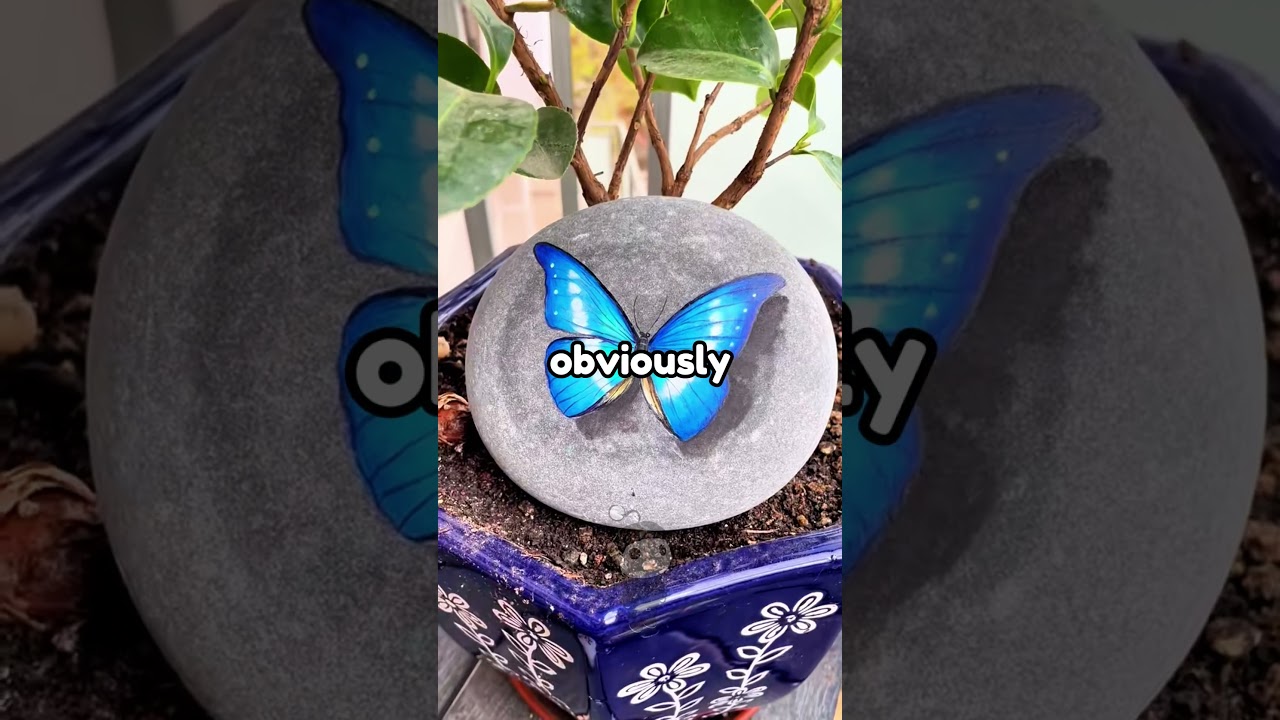 AITA for giving my daughter a breakdown of what it... #reddit #aita #shorts #art #redditstories