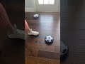 Indoor kids activity! ⚽️ hover soccer ball #soccer #soccerball #indooractivities #indooractivity