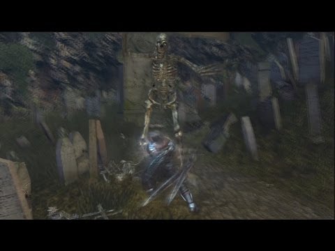 Dark Souls: Skeleton Warriors