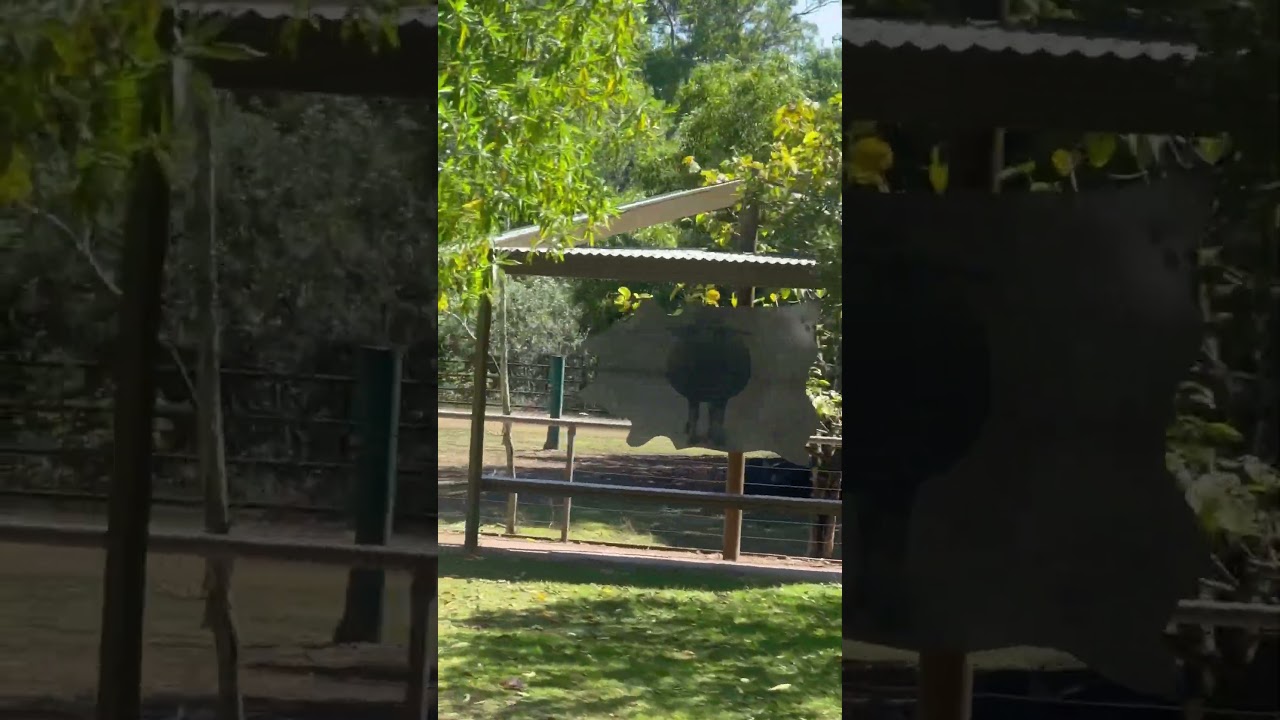 YouTube Short thumbnail