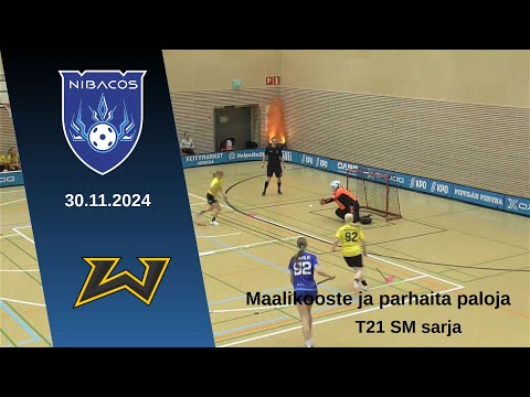 T21 SM maalikooste Nibacos - Welhot