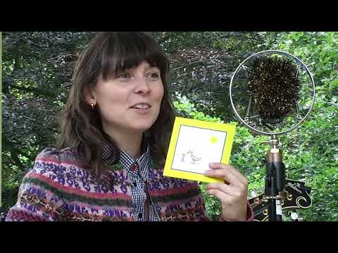 Rain of Animals Hexham Bluegrass Festival 2023