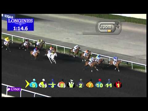 19.01.2013 Meydan (Dubai-UAE) 3.Race Swaidan Trading, Heavy Equipment Division Trophy - 1.400 m