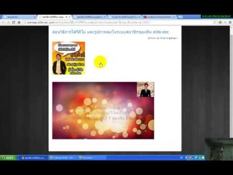 Exciter สำหรับสูตรผู้หญิงพื้นบ้าน แบดเจอร์อ่อนแอไขมัน