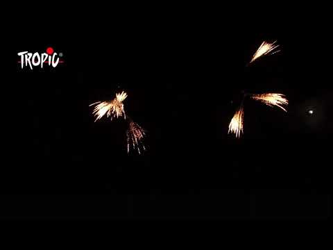 Πυροτεχνηματα 169 βολών για θέαμα χωρίς κρότο TB411 ANIMAL FRIENDLY