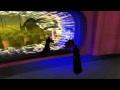 Star Wars Movie Duels II Arrest The Chancellor Light Side Dark Side Ending