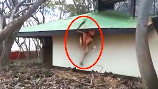 Disturbing Footage Clips That Experts Couldn’t Explain