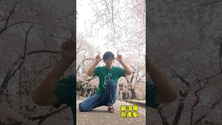 #sakura #japan #shorts #松阪牛 #新潟県 #桜 #三重県 #ギャグ #beef