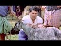 Jagathy Mammootty Comedy Scenes Non Stop Comedys Pappu Sreenivasan Comedys Aayirappara