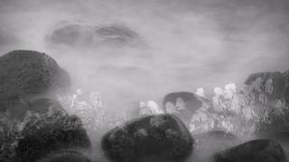 Secret Garden   Searching For the Past