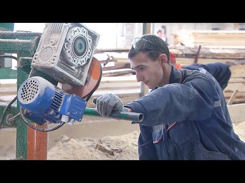 215 новых предприятий было создано с начала года в Гомельской области видео