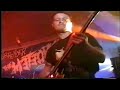 The Meteors -   Wild Thing