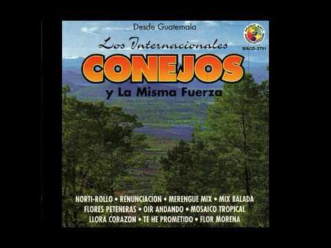 NORTI-ROLLO. MIX  LOS INTERNACIONALES  CONEJOS. Y la misma fuerza. En los 90s