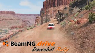 Extreme Downhill Rally Run