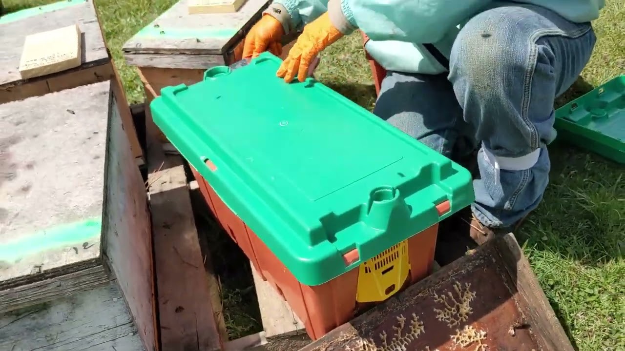 ProNucs: All the Features and Details