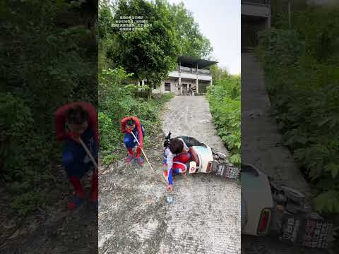 Why does this dog steal my food every day #131