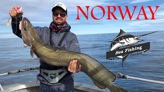 preview picture of video 'Морская рыбалка в Норвегии на острове Сенья. Август 2018г'